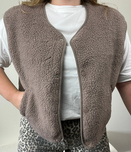 Teddy Vest Bruin