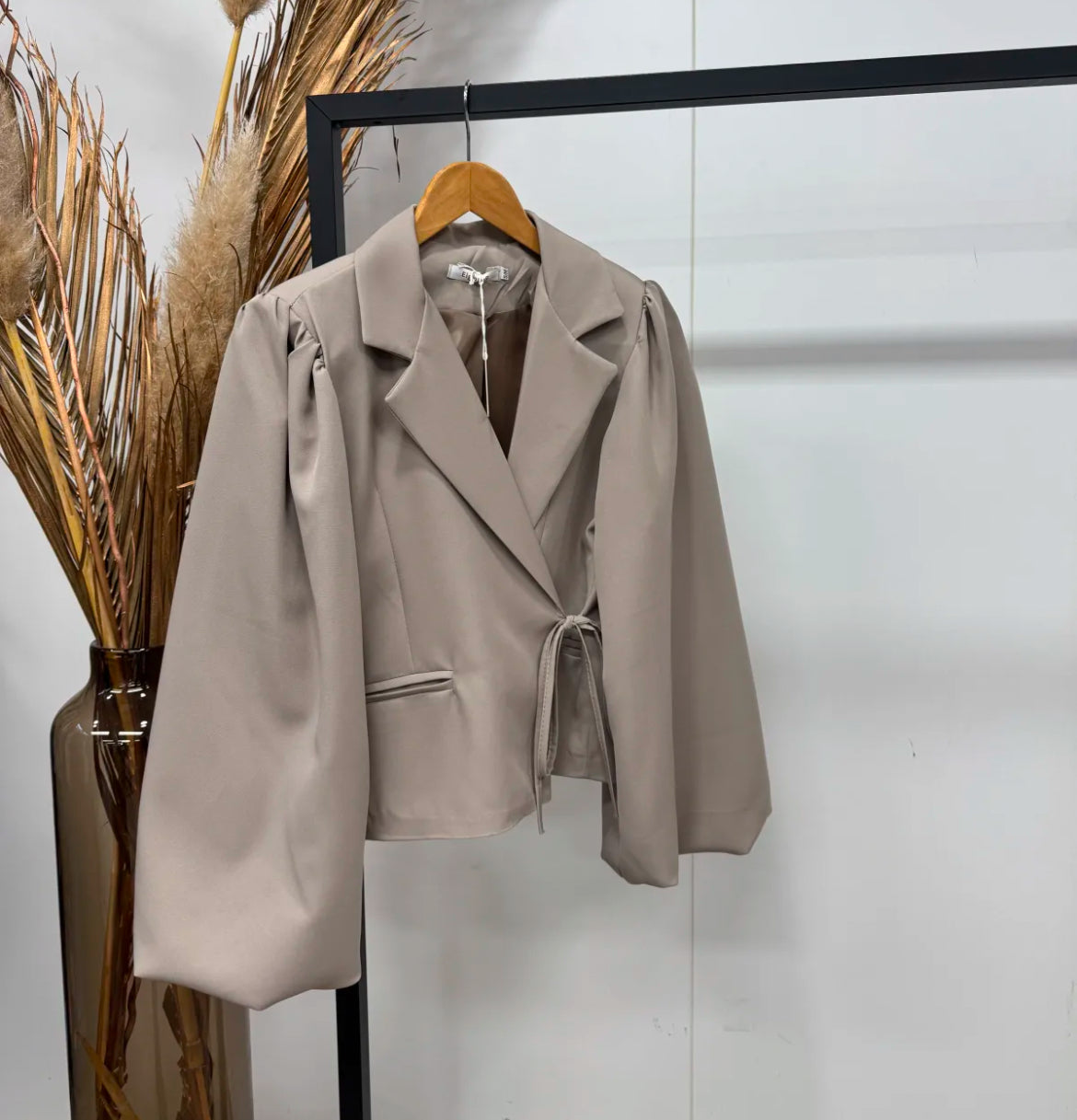 Blazer Luna Taupe